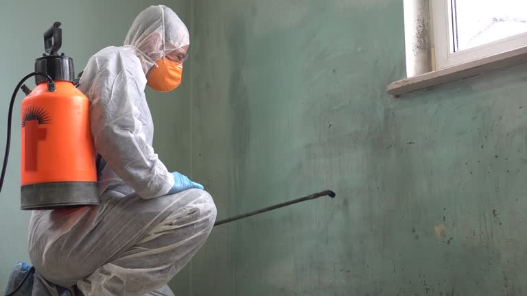 Best Environmental Consulting for Mold Prevention  in Hacienda Heights, CA